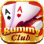 rummy nice logo